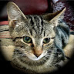 Meet your Posher, Edward